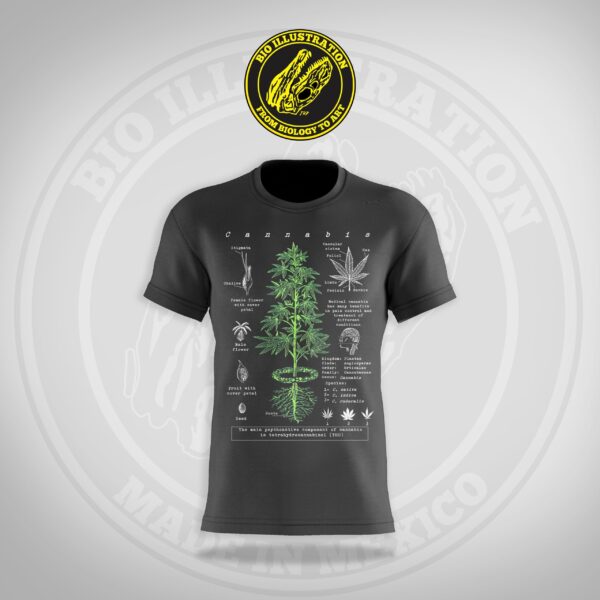 Cannabis