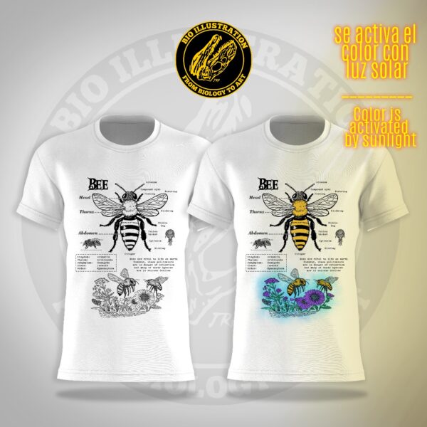 Bee